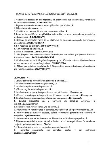 CLAVES DICOTÓMICAS PARA IDENTIFICACIÓN DE ALGAS 1 ...