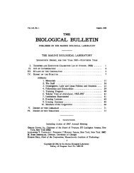 The Biological Bulletin