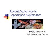 Recent Aedvances in Cephalopod Systematics
