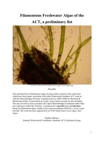 Filamentous Freshwater Algae of the ACT, a preliminary list