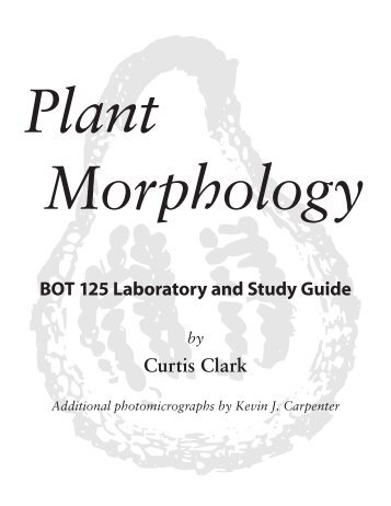 BOT 125 Laboratory and Study Guide Curtis Clark - California State ...