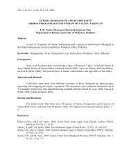 research proposal university of peshawar