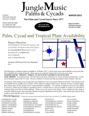 Palm Species List (PDF file) - Jungle Music Palms and Cycads