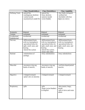 Class Chondrichthyes Class Osteichthyes Class Amphibia Defining ...