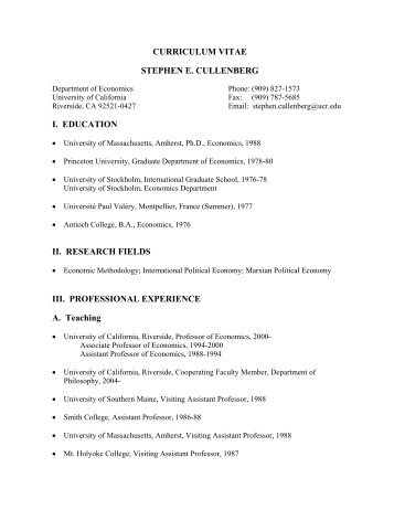 Curriculum vitae stephen e. cullenberg - Economics - University of ...