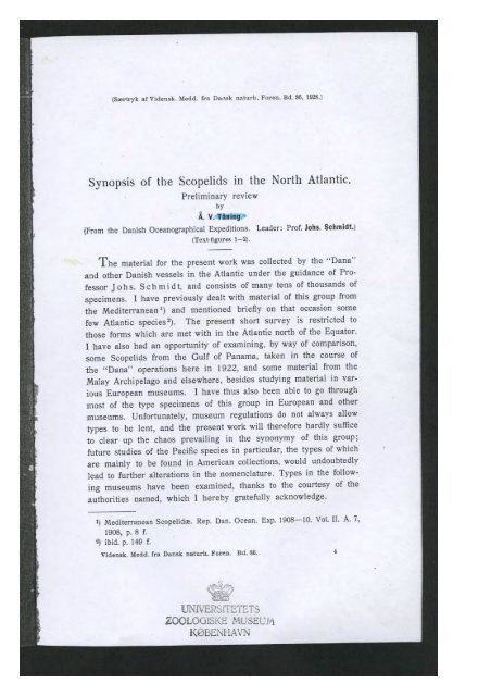 Synopsis of the Scopelids in the North Atlantic.