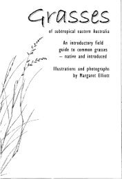 of subtropical eastern Australia An introductory field guide to ...