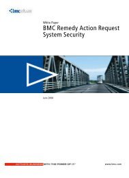 BMC Remedy Action Request System Security.pdf