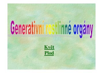 Generativní rostlinné orgány