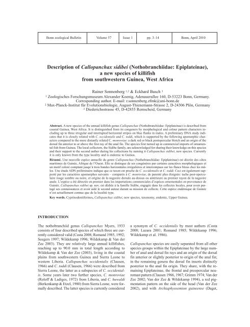 Nothobranchiidae: Epiplateinae