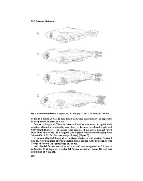 Ontogeny and distribution of Hygophum benoiti (Pisces ...