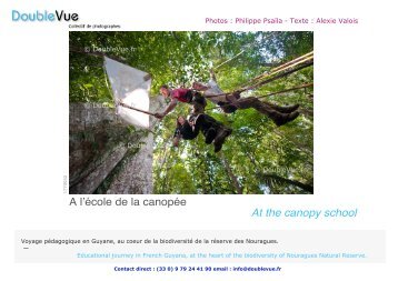 A lécole de la canopée At the canopy school - Doublevue