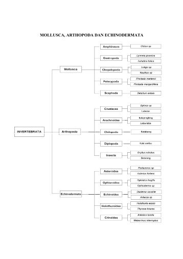 MOLLUSCA, ARTHOPODA DAN ... - Direktori File UPI