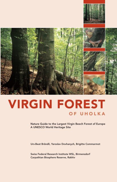 Nature Guide to the Largest Virgin Beech Forest - WSL