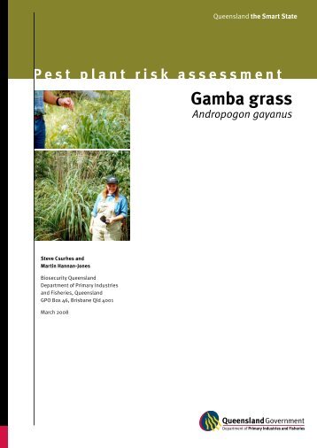 Gamba grass pest risk assessment - Department of Primary Industries