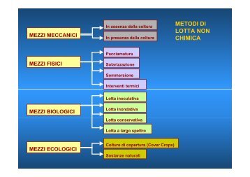 PDF - 5416 Kb - Facoltà di Agraria