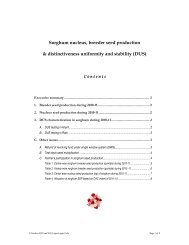 Sorghum nucleus, breeder seed production & distinctiveness ...