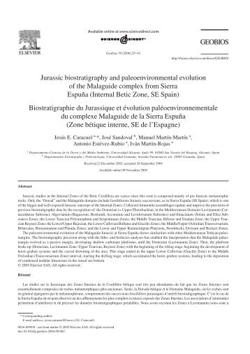 Jurassic biostratigraphy and paleoenvironmental evolution of the ...