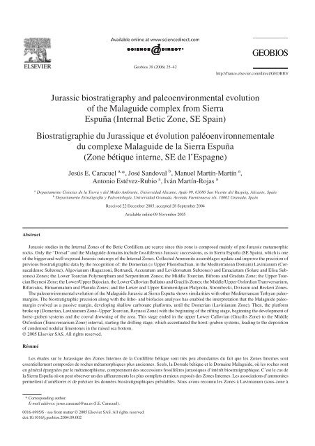 Jurassic biostratigraphy and paleoenvironmental evolution of the ...