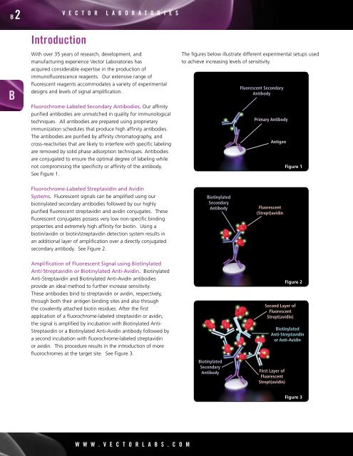 VectorCatalog2012.pdf? - Vector Laboratories