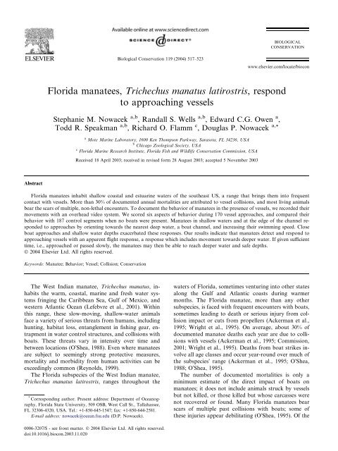 Florida manatees, Trichechus manatus latirostris, respond to ...