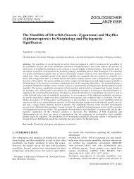 The Mandible of Silverfish (Insecta: Zygentoma) and Mayflies