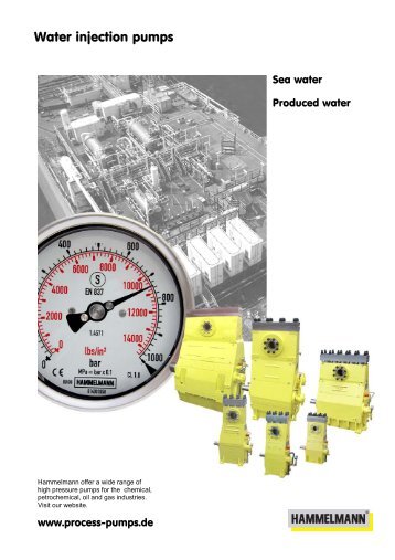 Water injection pumps - Hammelmann