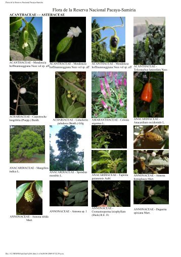 Flora de la Reserva Nacional Pacaya-Samiria