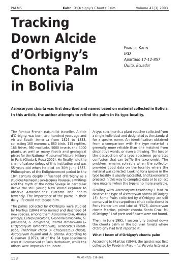 Tracking Down Alcide d'Orbigny's Chonta Palm in Bolivia