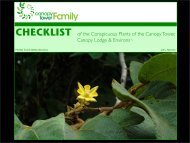 CHECKLIST of the Conspicuous Plants of the Canopy Tower ...