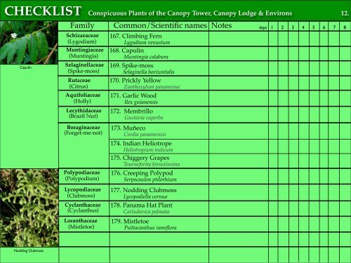 CHECKLIST of the Conspicuous Plants of the Canopy Tower ...