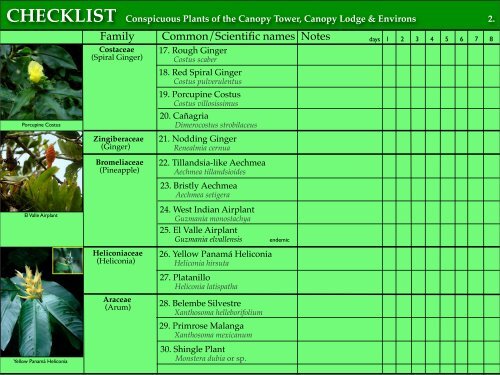 CHECKLIST of the Conspicuous Plants of the Canopy Tower ...