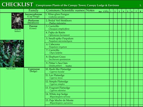 CHECKLIST of the Conspicuous Plants of the Canopy Tower ...