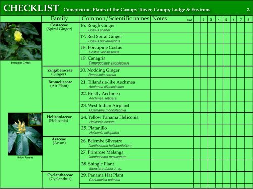 CHECKLIST of the Conspicuous Plants of the Canopy Tower ...