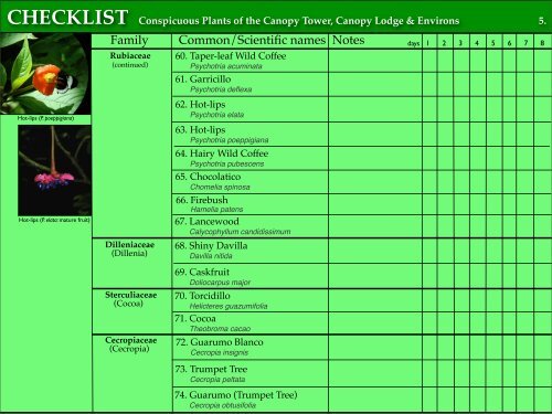 CHECKLIST of the Conspicuous Plants of the Canopy Tower ...