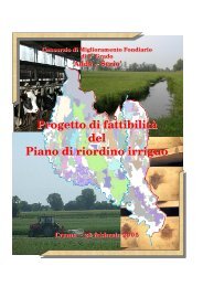 Fattibilita Riordino Cremasco_23 febbraio.pdf - Consorzio Irrigazioni ...