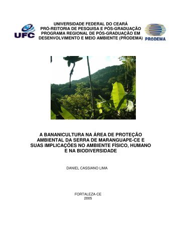 a bananicultura na área de proteção ambiental da ... - Prodema - UFC