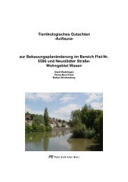 Tierökologisches Gutachten -Avifauna- zur - Stadt Waiblingen