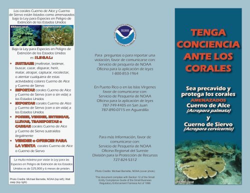 TENGA CONCIENCIA ANTE LOS CORALES Sea precavido y ...