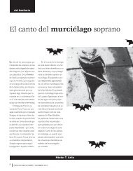 El canto del murciélago soprano - Página del Alumno