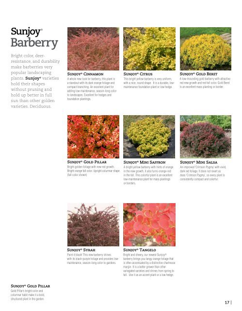 Flowering Shrubs - Proven Winners