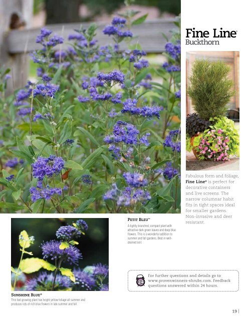 Flowering Shrubs - Proven Winners