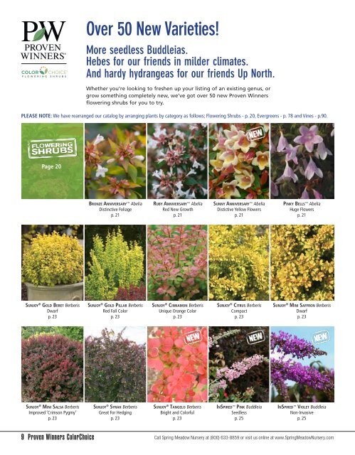 Flowering Shrubs - Spring Meadow Nursery