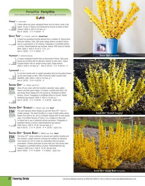 Flowering Shrubs - Spring Meadow Nursery