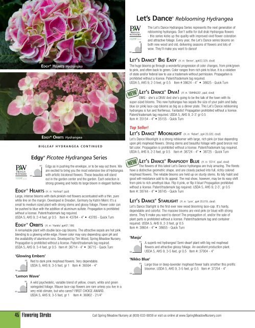 Flowering Shrubs - Spring Meadow Nursery