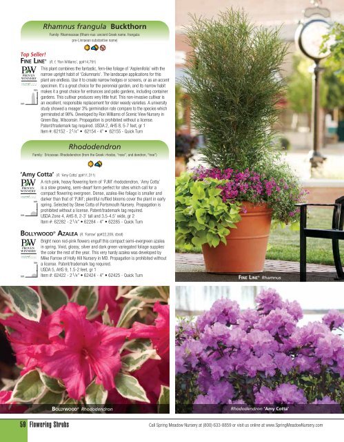 Flowering Shrubs - Spring Meadow Nursery