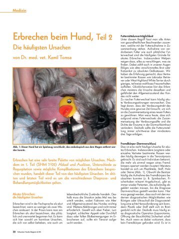 Erbrechen beim Hund, Teil 2 - Tierärztliche Spezialistenklinik