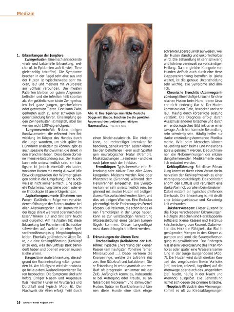 Mein Hund hustet! - Tierärztliche Spezialistenklinik