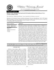 Efficacy of Live attenuated and Inactivated Oil Emulsion Infectious ...