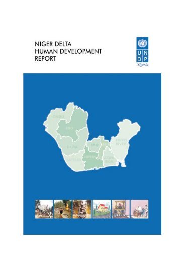 Essay about undp nigeria